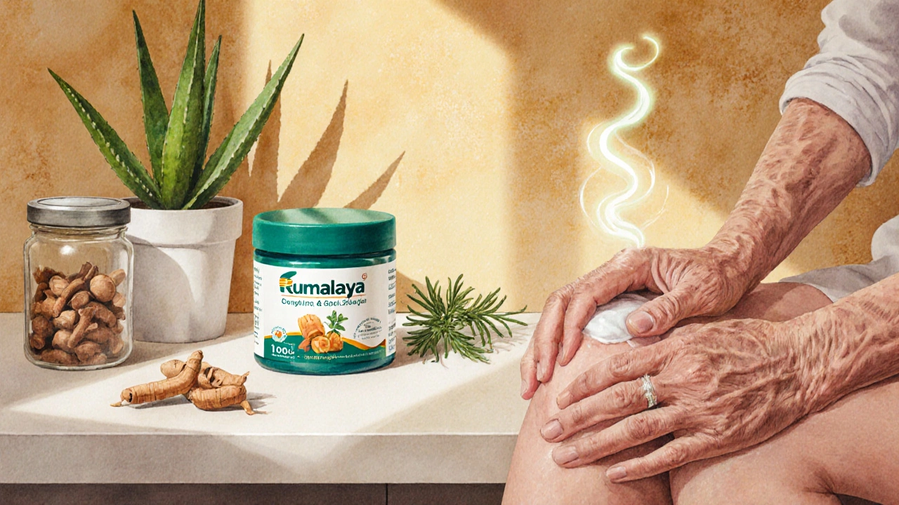 Rumalaya Gel vs Alternatives: Which Topical Pain Relief Works Best?