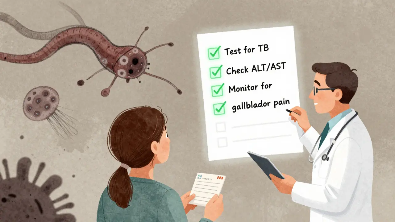 A doctor and patient reviewing a floating checklist of safety steps, with abstract illness shapes fading away.